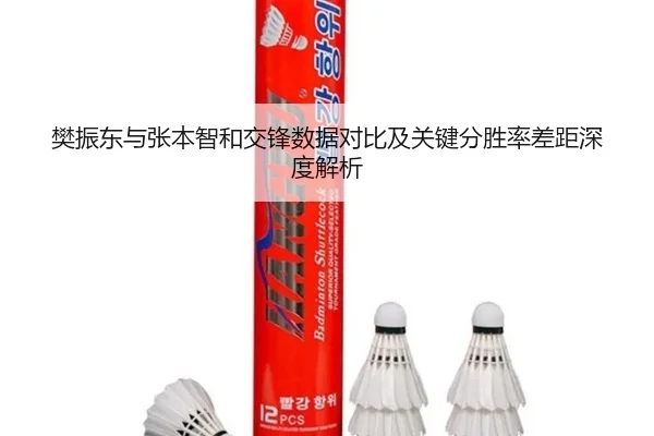 樊振东与张本智和交锋数据对比及关键分胜率差距深度解析