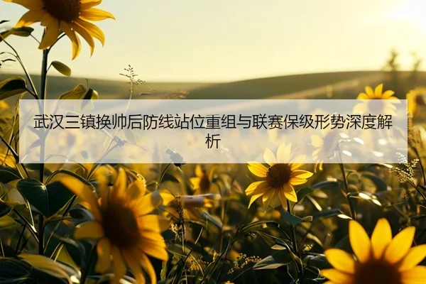 武汉三镇换帅后防线站位重组与联赛保级形势深度解析